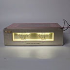 Denon DSV-1 LEVEL METER