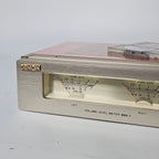 Denon DSV-1 LEVEL METER