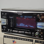 Panasonic VX4000